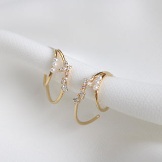 Delphi Hoop Earrings